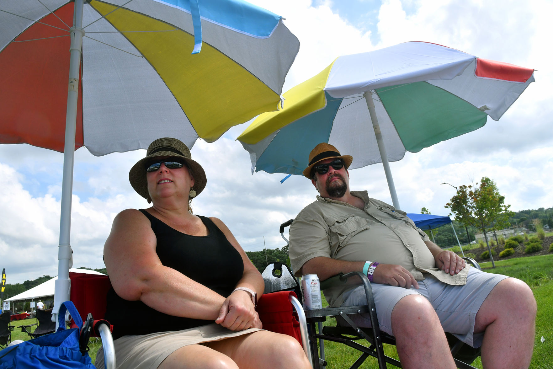 2019 Mississippi Valley Blues Festival